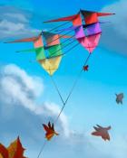 Canasta HD Tristar Kites Badge