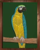 World Class Solitaire HD Macaws Nail and String Art Badge