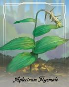 Mahjong Garden HD Aplectrum Hyemale Orchid Badge