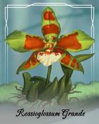 Mahjong Safari HD Rossioglossum Grande Orchid Badge