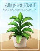 Alligator Succulent Badge - Spades HD