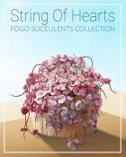 String of Hearts Succulent Badge - Canasta HD