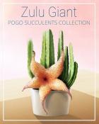 Zulu Giant Succulent Badge - Jungle Gin HD