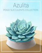Azulita Succulent Badge - Jet Set Solitaire
