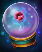 Mysterious Poppy Badge - Claire Hart: Secret in the Shadows