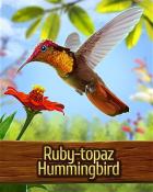 Mahjong Garden HD Ruby-topaz Hummingbird Badge