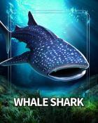 Mahjong Safari HD Whale Shark Sea Giants Badge