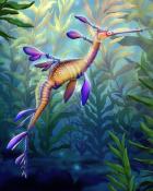 Quinn's Aquarium Blue Weedy Seadragons Badge