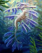 Quinn's Aquarium White Leafy Seadragons Badge