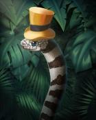 California King Snake in Hat Badge