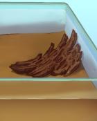 Don't Get Bogged Down Badge - Quinn's Aquarium