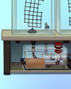 Quinn's Aquarium Soaking It All In Badge