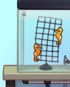 Quinn's Aquarium Jockeying For Position Badge