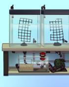 Quinn's Aquarium What A Filling! Badge