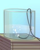 Quinn's Aquarium Air, Apparently Badge