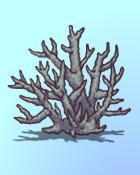 Quinn's Aquarium What Remains Badge