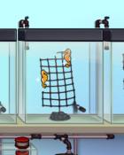 Quinn's Aquarium Little Ponies Badge