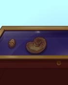 Quinn's Aquarium Insider Perspective Badge