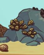 Quinn's Aquarium Oysters