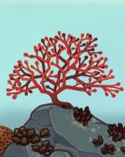 Quinn's Aquarium Red, Instead Badge