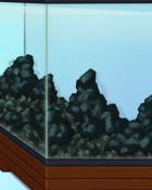 Quinn's Aquarium Rock Bottom Badge