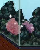 Quinn's Aquarium True Fans Badge