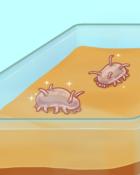 Cool Cucumbers Badge