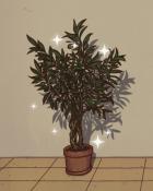 Quinn's Aquarium Olive Branch Badge