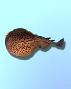 Quinn's Aquarium A Shocking Sight Badge