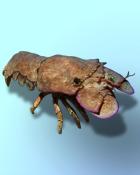 Quinn's Aquarium Slippery Subject Badge