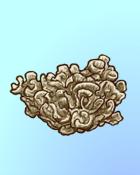 Quinn's Aquarium Not-So-Tall Tail Badge