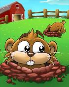 Gopher Portal Badge - Word Whomp HD