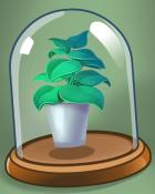 Solitaire Home Story Leafy Potted Plant Badge