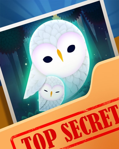 Little Owlet Top Secret Badge