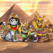 Cairo Cats Badge Collection