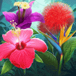 Tropical Flowers Badge Collection - Week One