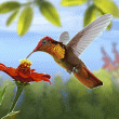 Hummingbirds Badge Collection: Mahjong Garden HD