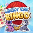 Lucky Cat Bingo: Starry Night Event