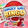 Lucky Cat Bingo: Valentine's Day Event