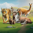 National Animals Badge Collection: Week Five