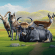 National Animals Badge Collection: Week Four