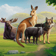 National Animals Badge Collection: Week Two