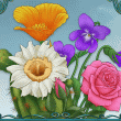 State Flowers Badge Collection: Week One