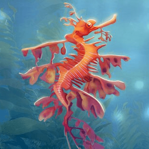 Quinn's Aquarium Sea Dragons Badge Collection