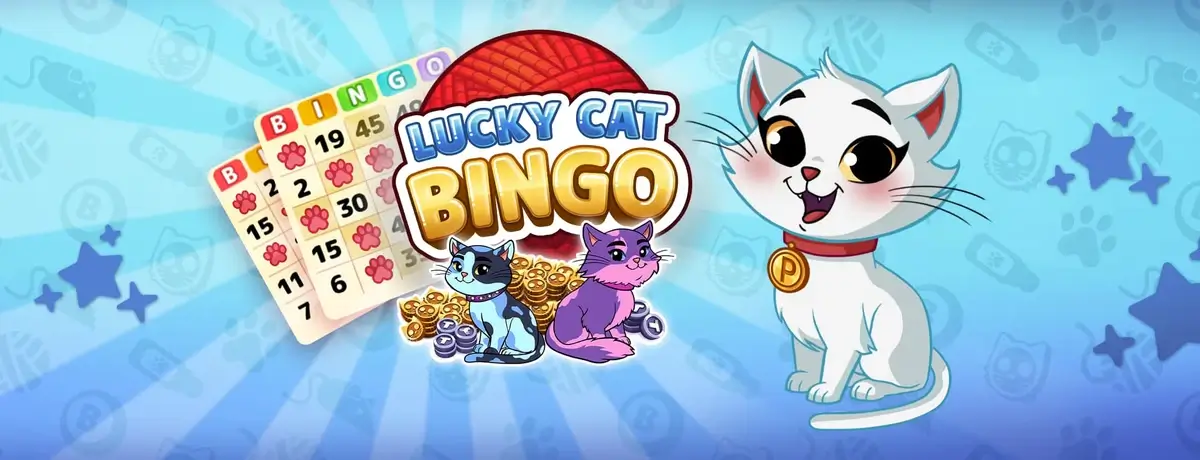 Lucky Cat Bingo Starry Night Event