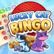 Lucky Cat Bingo: Starry Night Event