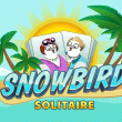 Snowbird Solitaire: Cozy Ski Lodge Event